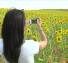 Hoy es el "Yellow Day", el día más feliz del año