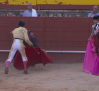 Novillada desde Trillo (22/06/2025)