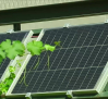 La UCLM investiga la integración de placas solares en los viñedos