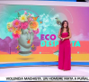 ¿Dónde se desechan los vapers?