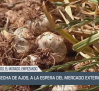 El campo - 02/07/2025