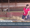 El campo - 03/07/2025