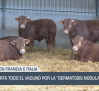 El campo - 04/07/2025