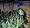Desmantelado un cultivo de marihuana localizado tras un incendio en la casa en la que estaba