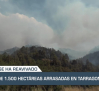 La mañana En Titulares - 8/7/2025