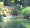 Hallado un cuerpo sin vida en el río Júcar, en Cuenca