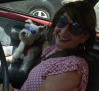 Viajar en el coche con perros o gatos