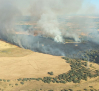 Nivel 1 en el incendio forestal de Calera y Chozas (Toledo) al tener que cortar la carretera CM-4130