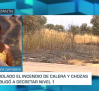 Controlado el incendio de Calera y Chozas