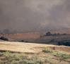 Nivel 2 en el incendio forestal declarado en Méntrida