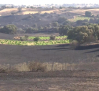 El incendio causa importantes daños en los cultivos de la zona