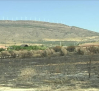 Mayor vigilancia en Caudete ante los atracos aprovechándose de los incendios