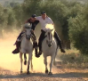Días de entrenamiento para ver los caballos enjaezados del Carpio de Tajo