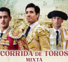 Dos toreros heridos por asta de toro en el mimo festejo: se encuentran graves