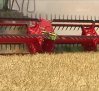 Buena campaña del cereal en Castilla-La Mancha