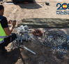 Cae un clan familiar por el robo de cableado de cobre de la línea férrea de Alcázar de San Juan