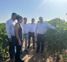 Las ayudas permiten la incorporación de 1.552 jóvenes a la agricultura en Castilla-La Mancha