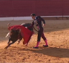 Toros desde Villacañas (10/08/2025)