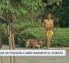 Previsión del tiempo - 15/08/2025