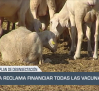 El campo - 19/08/2025