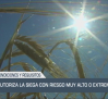 El campo - 20/08/2025