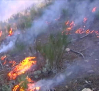 La Fiscalía pide que se investigue el plan de prevención de los municipios afectados por incendios