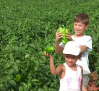 Los niños de Villanueva de los Infantes participan en la Feria del Pimiento