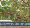 El campo - 26/08/2025