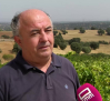 Las bodegas de Méntrida no irán a la fiesta del vino en protesta por el mal estado de los caminos