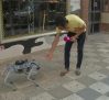 Conocemos a "Chip", el perro robot de Albacete