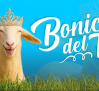 CMM presenta “Bonica del tó”, el nuevo concurso que busca a la oveja más bonita de la región