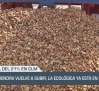 El campo - 08/09/2025