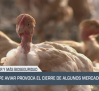 La gripe aviar provoca el cierre de algunos mercados - 11/09/2025