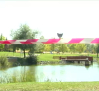 Clausurado el acceso al lago del parque de Valdeluz, en Yebes, por un posible brote de gripe aviar