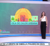 Las altas temperaturas son mucho más notables en los núcleos urbanos