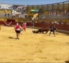 Un hombre herido tras ser corneado por un toro en los encierros de Almodóvar del Campo (Ciudad Real)