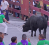 Segundo encierro de Guadalajara: el más largo de la historia (19/09/2025)