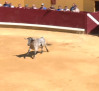 Encierros en Almodóvar del Campo