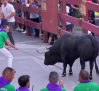 Segundo encierro de Guadalajara: el más largo de la historia (19/09/2025)