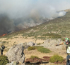 Sigue sin control el incendio forestal declarado en Peñalba de la Sierra (Guadalajara): hay cortada una carretera