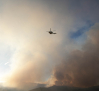 El incendio de Peñalba de la Sierra entra en la provincia de Segovia y obliga a desalojar la localidad de Riofrío de Riaza