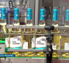 La cooperativa "El Progreso", primera en embotellar sus vinos jóvenes