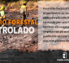 Controlado el incendio en el Pico del Lobo, tras 11 días ardiendo