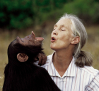 Muere Jane Goodall, la amiga de los chimpancés