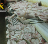 Clausurado un establecimiento ilegal de productos cárnicos en Hellín