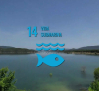 Sacedón, 14º objetivo de desarrollo sostenible: vida submarina