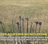 Los acuíferos no recuperan - 03/10/2025