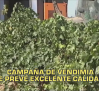 Castilla-La Mancha fin de semana a las 2 04/10/2025