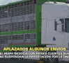 El MAPA negocia con países clientes que no suspendan la importación por la DNC - 06/10/2025
