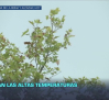 Previsión del tiempo - 06/10/2025